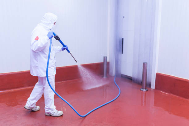 Best Pre-Holiday Cleaning  in La Honda, CA